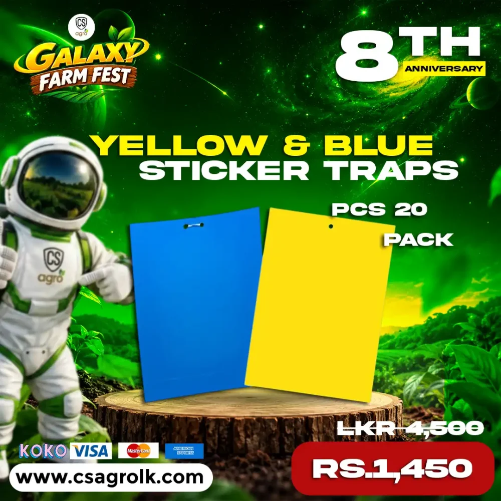 Yellow & Blue Insect Sticky Glue Traps Combo Pack