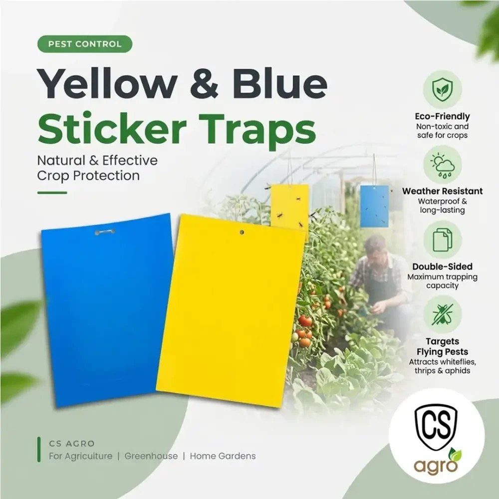 Yellow & Blue Insect Sticky Glue Traps Combo Pack