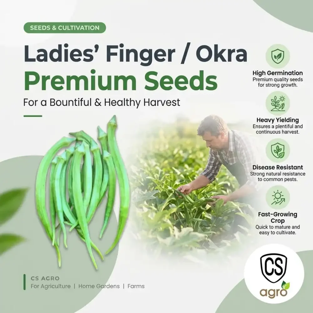 Ladies Finger Athdala Okra Bandakka Seeds