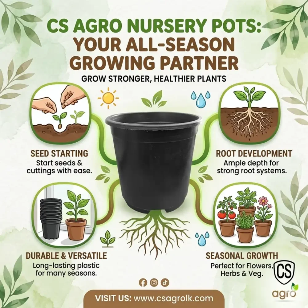 15 cm Plastic Nursery Pot