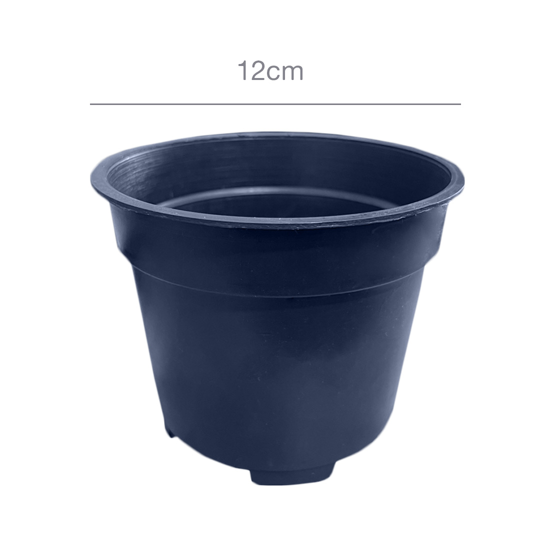 12 cm Plastic Nursery Pot - Image 2