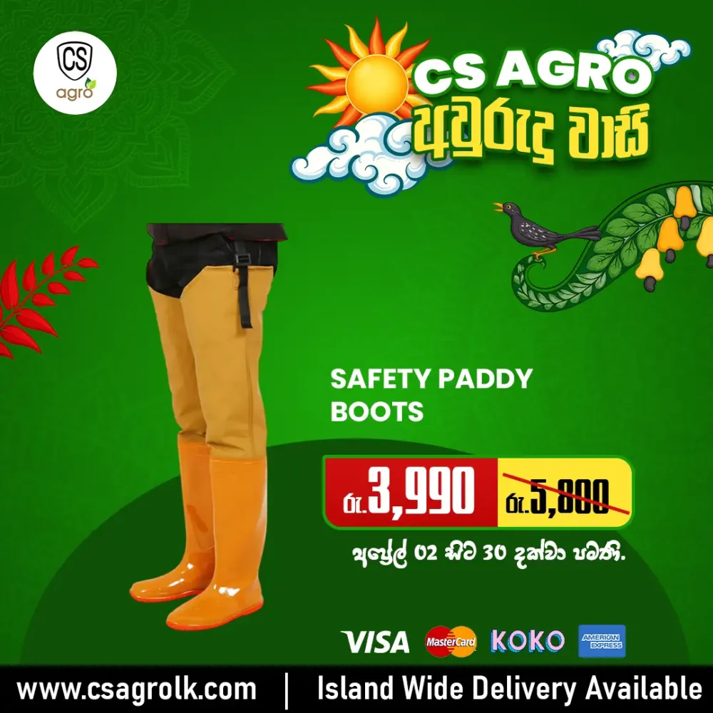 Safety Paddy Boots