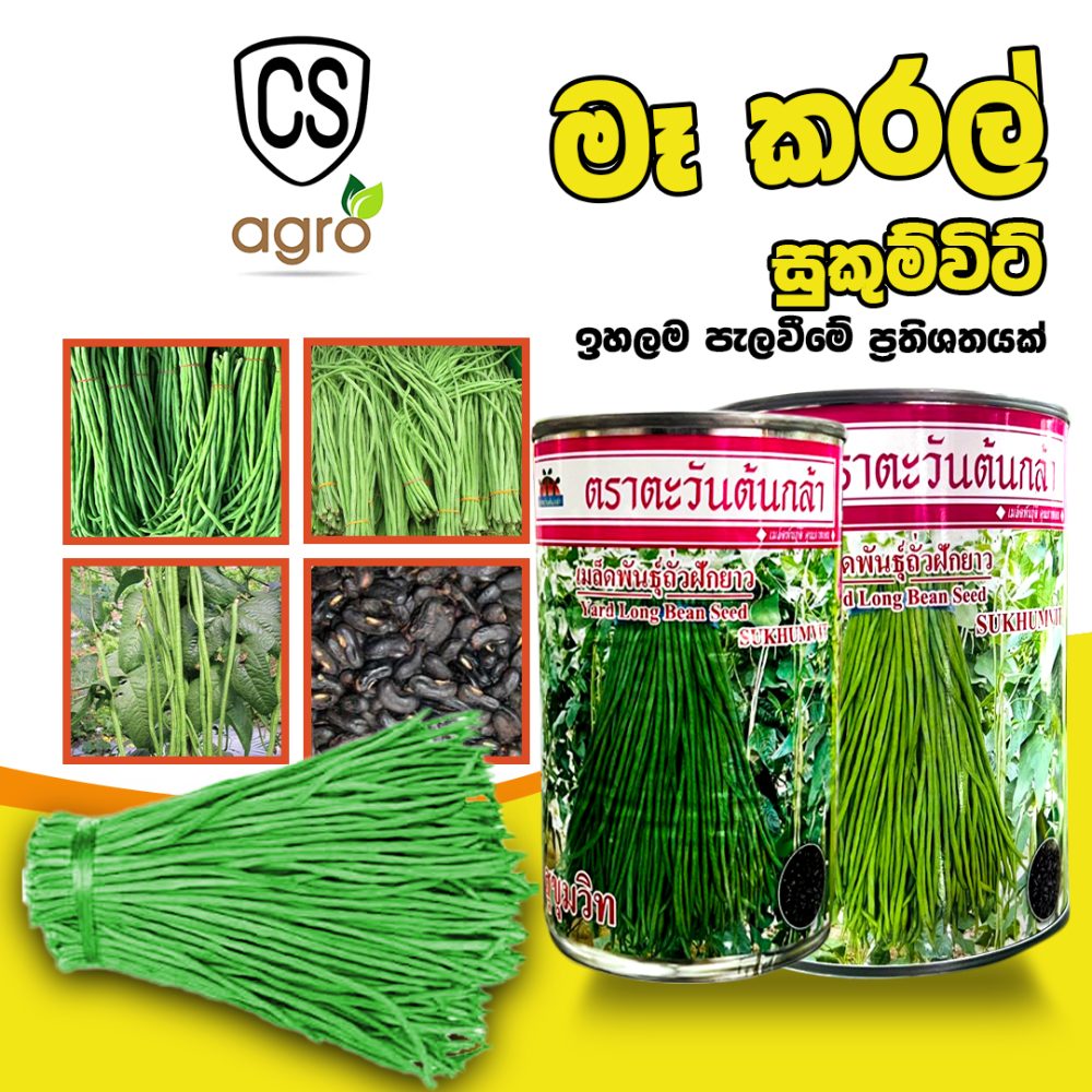 SUKHUMVIT Yard Long Bean Seed 100g