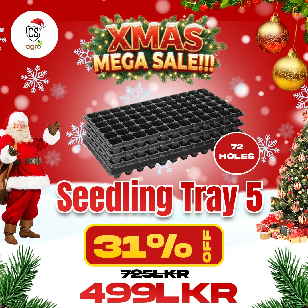 72 Holes Seedling Trays 05 Set