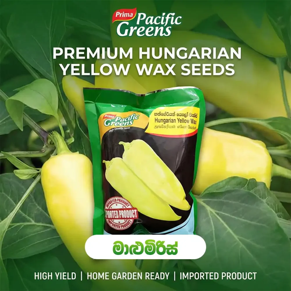 Pacific Greens Premium Hungarian Yellow Wax