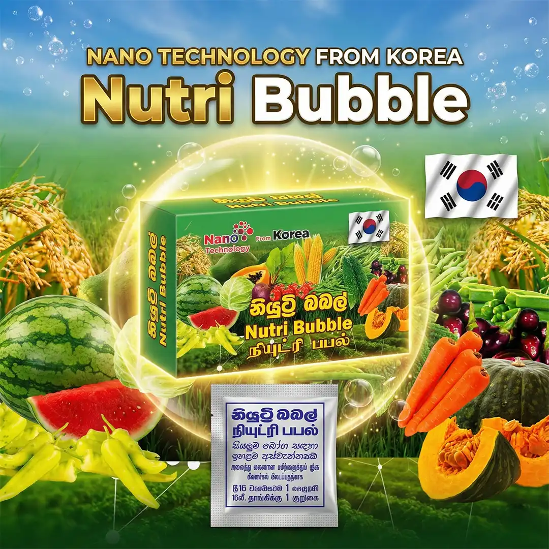 Nutri Bubble Box Hormone