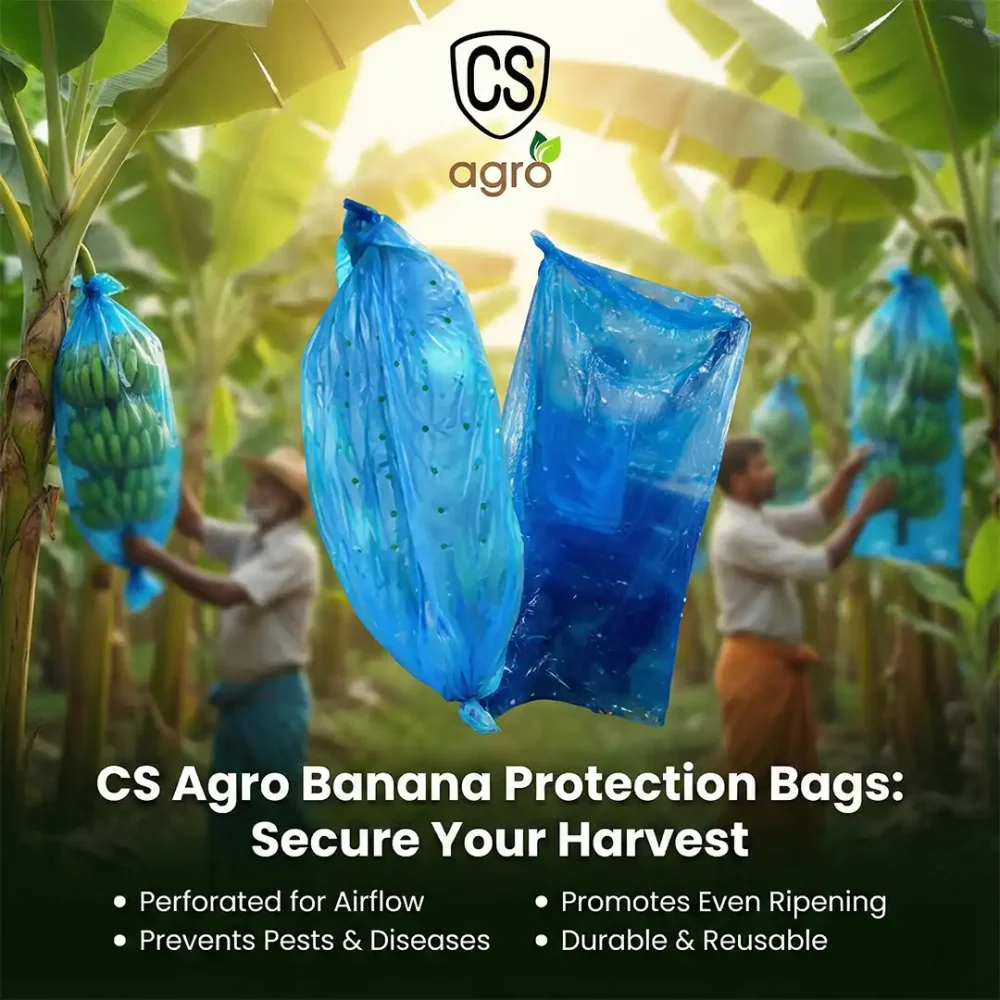 High-Quality Blue Banana Covers