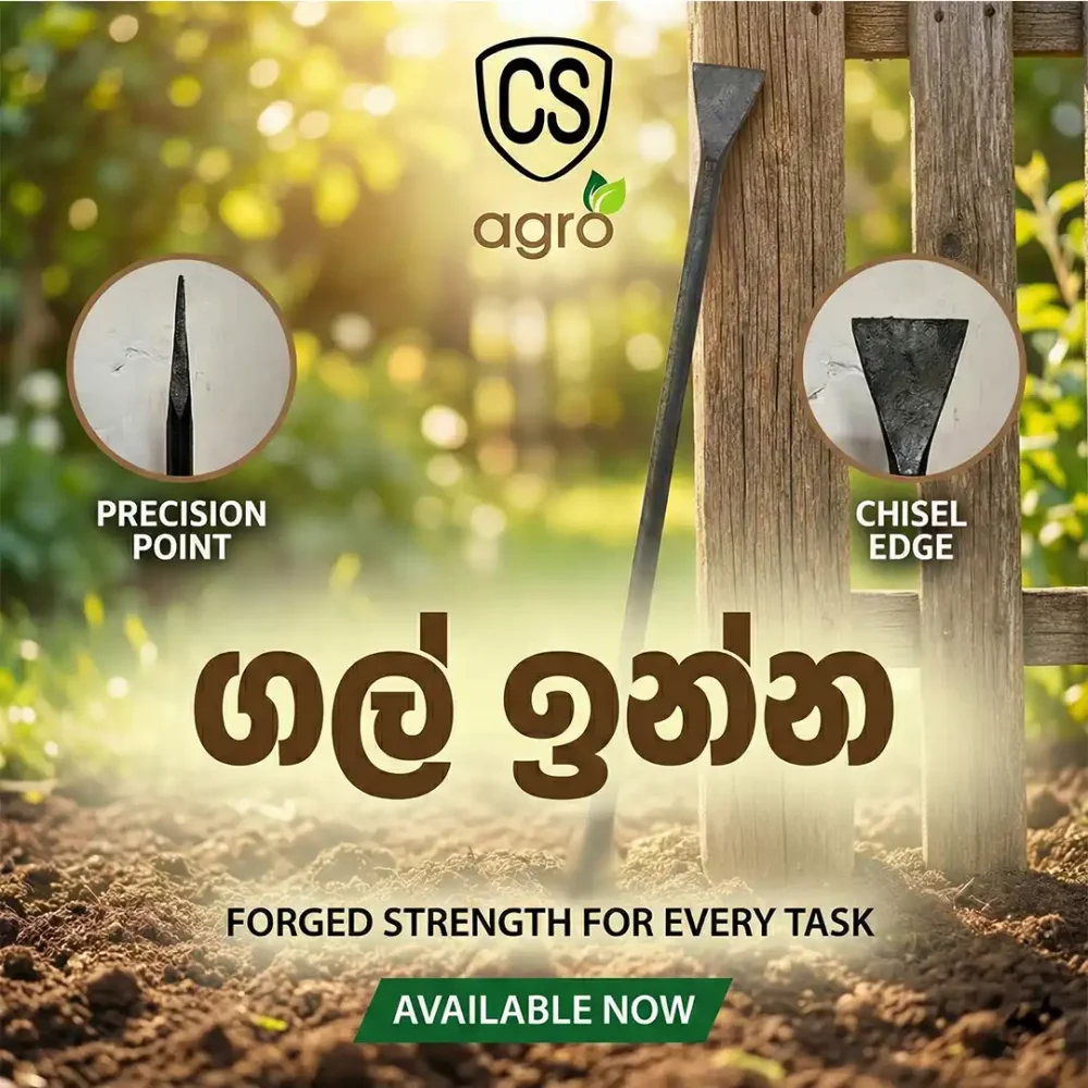 Digging Bar Gal Inna