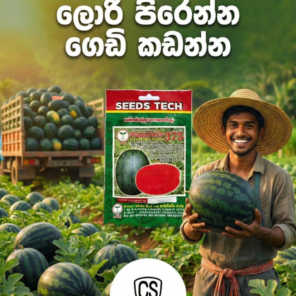 Commando 375 F1 Watermelon Seeds 10g