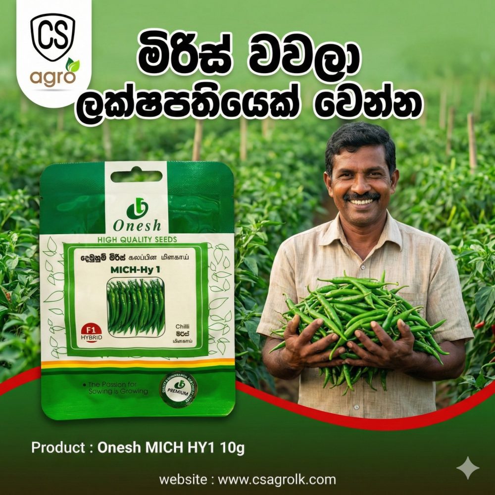 Onesh MICH HY1 Chilli 10g