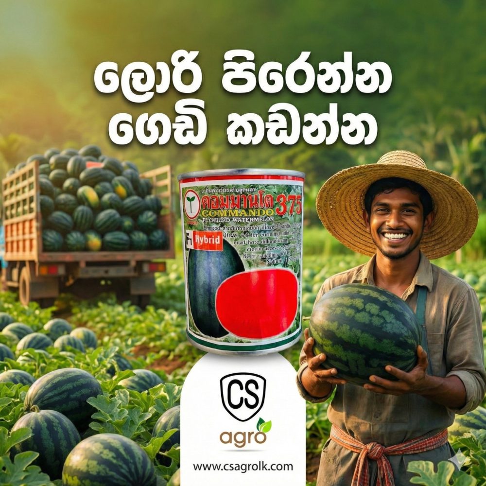 Commando 375 F1 Watermelon Seeds 100g