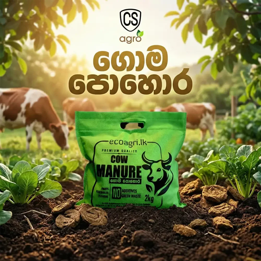Eco Agri Cow Dung Manure Powder Fertilizer
