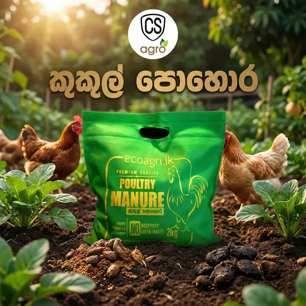 Eco Agri Chicken Manure Powder Fertilizer