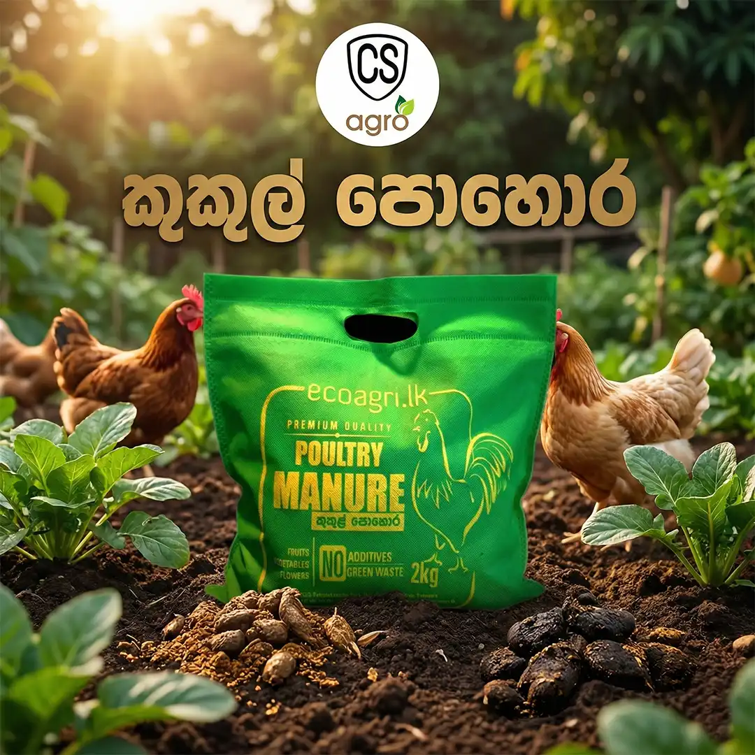 Eco Agri Chicken Manure Powder Fertilizer