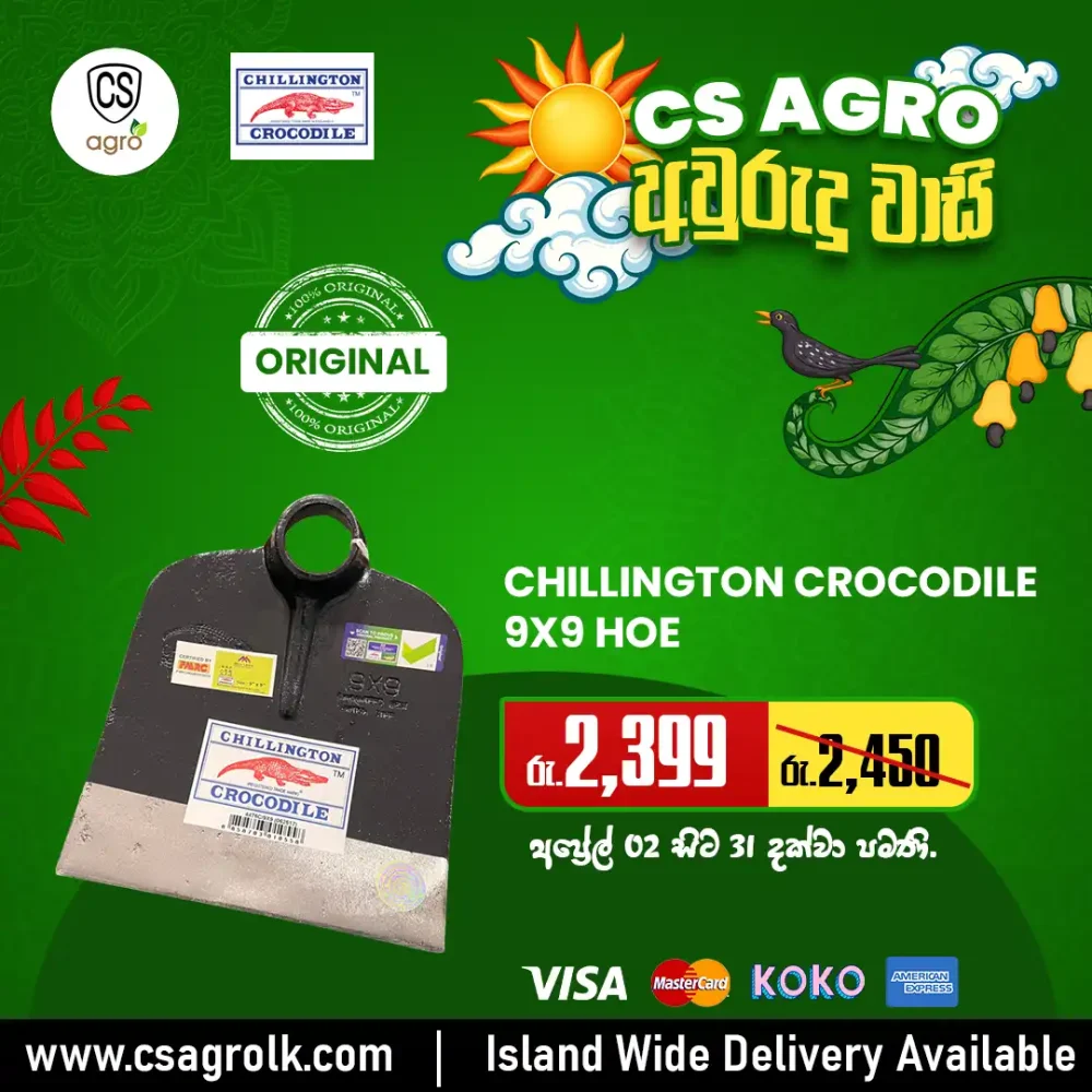 Chillington Crocodile Udalla Kibula Hoe 9X9 Size