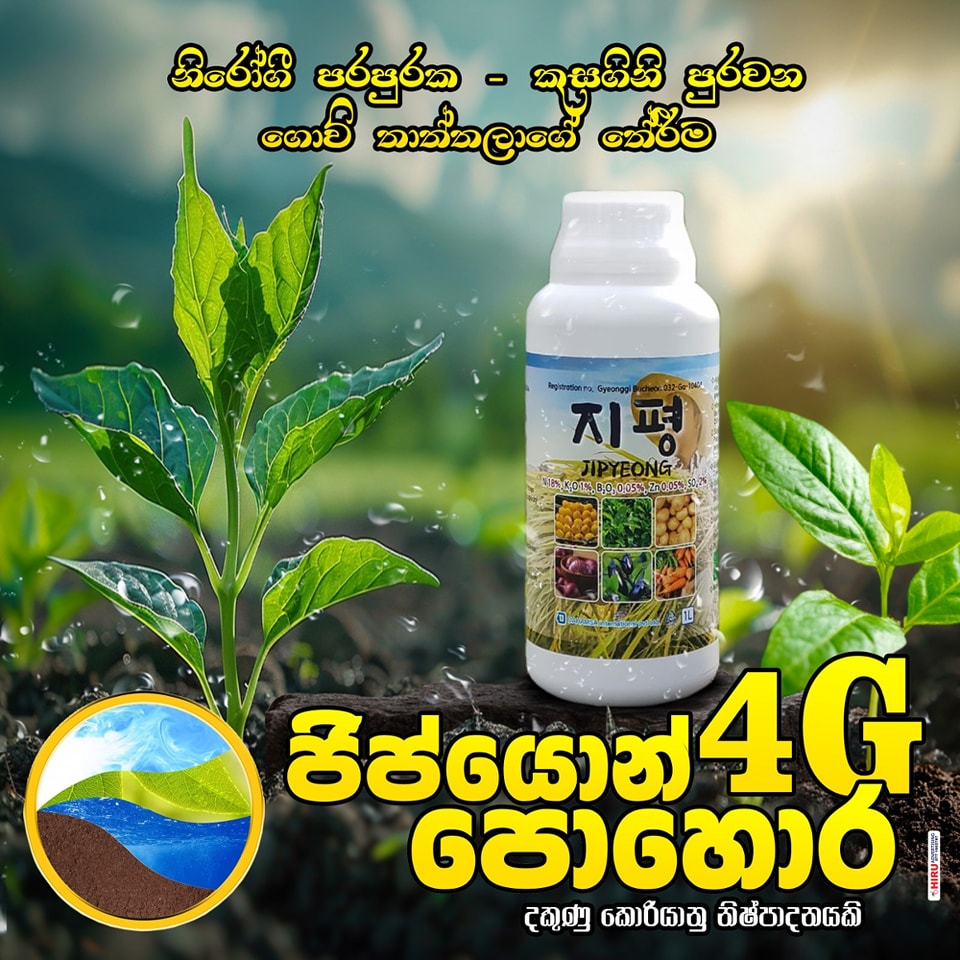 JIPYEONG 4G Nano Fertilizer Made in Korea