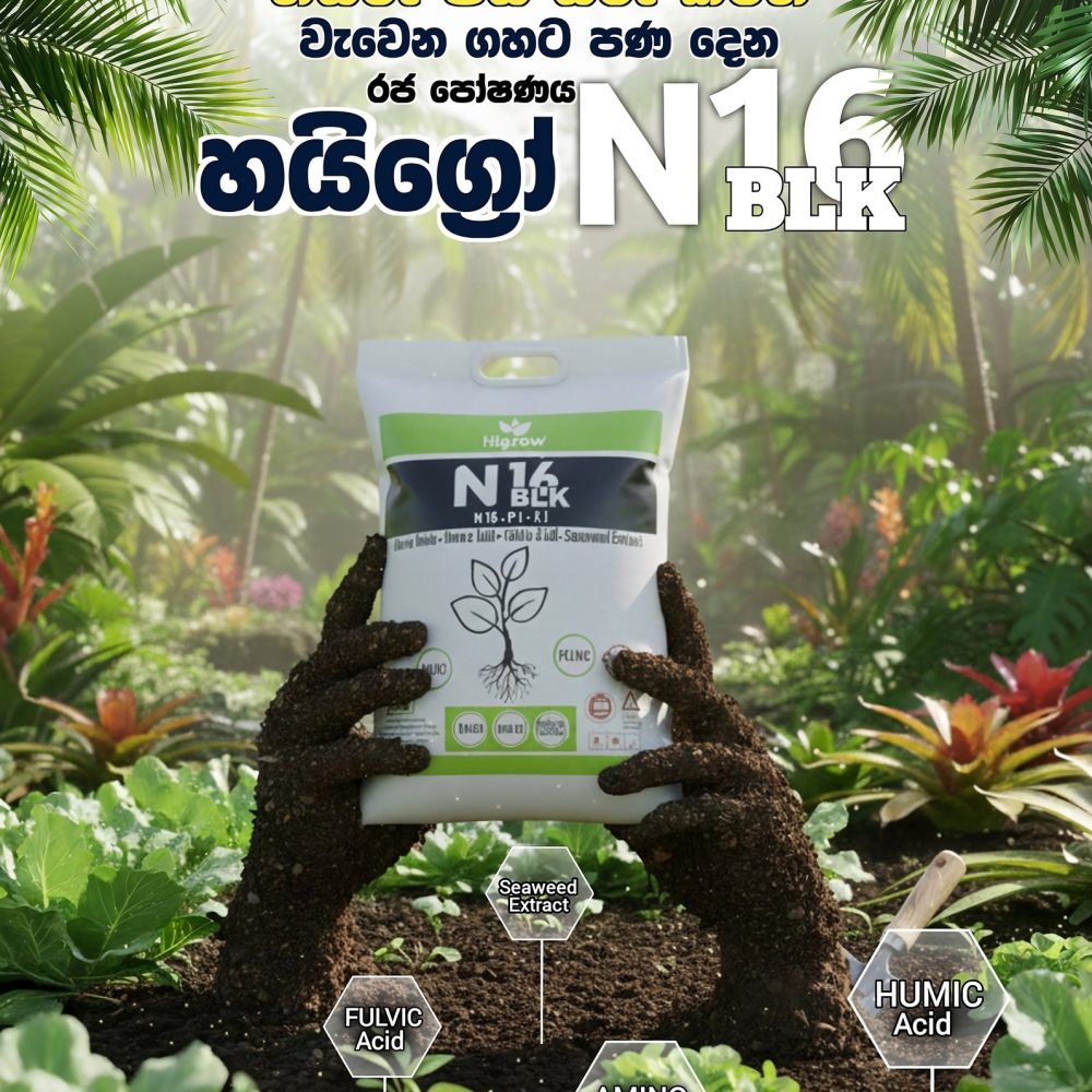 Higrow N16 BLK (HUMIC) 10kg