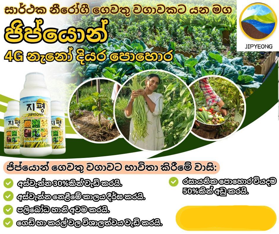 JIPYEONG 4G Nano Fertilizer Made in Korea - Image 5