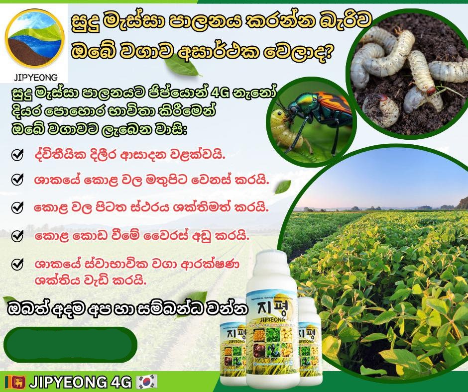 JIPYEONG 4G Nano Fertilizer Made in Korea - Image 4