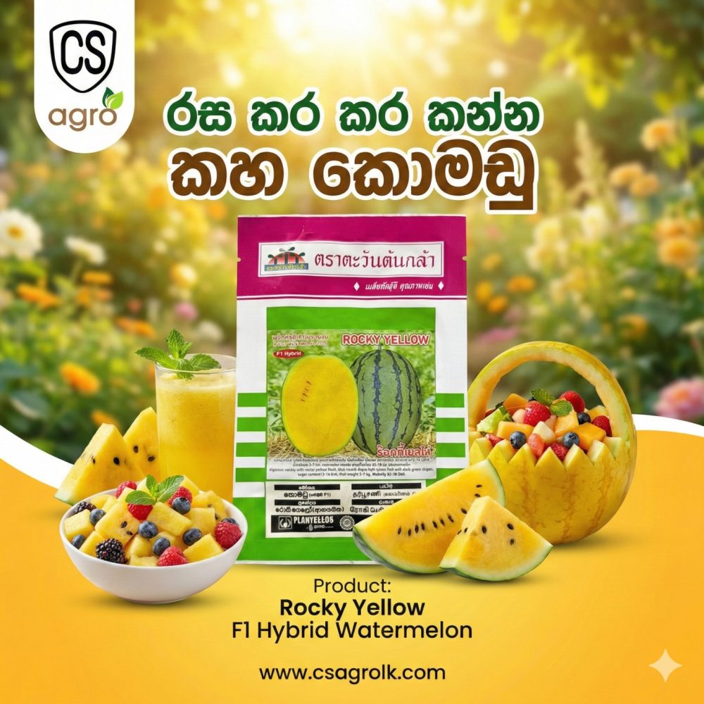 Rocky Yellow F1 Hybrid Watermelon 10g
