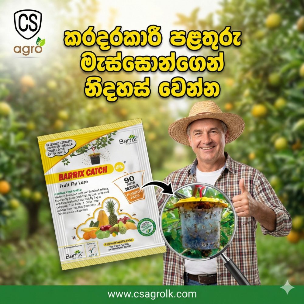 Barrix Catch Fruit Fly Lure