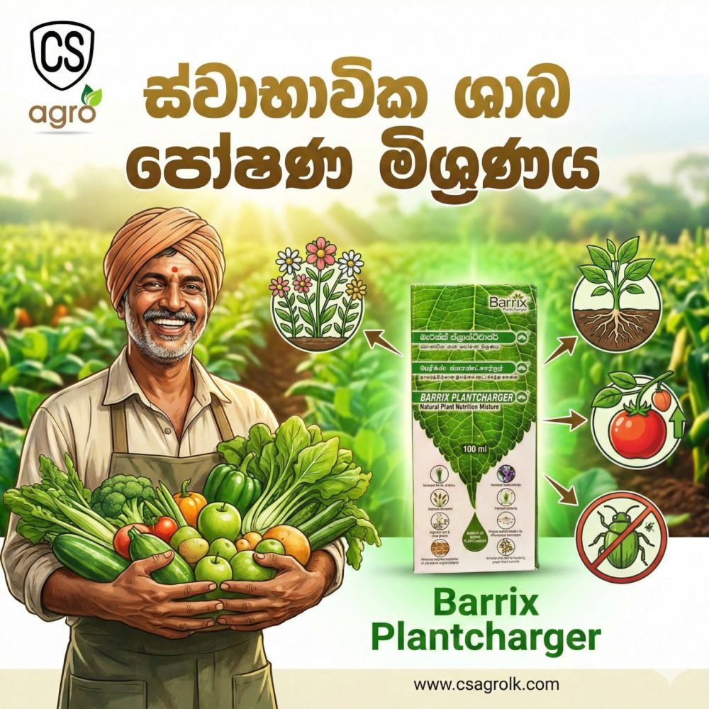Barrix Plantcharger 100ml