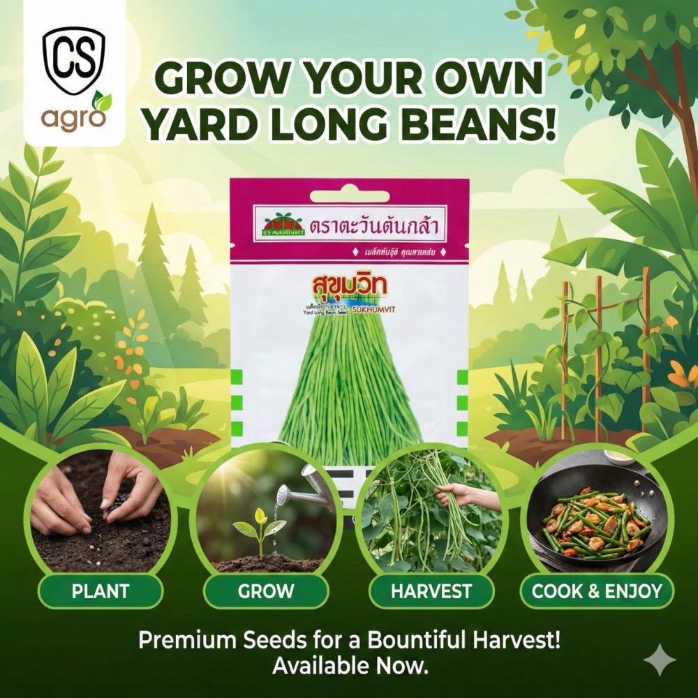 SUKHUMVIT Yard Long Bean Seed 10g