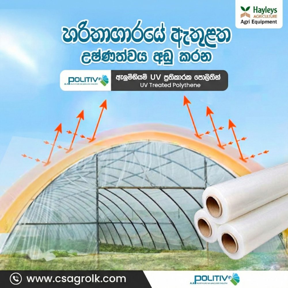 UV Treated Greenhouse Polythene 10M width Made in Isreal