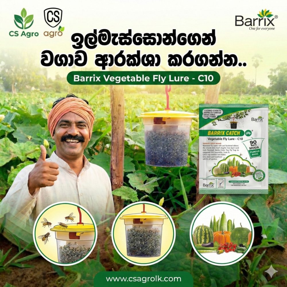 Barrix Catch Vegetable Fly Lure