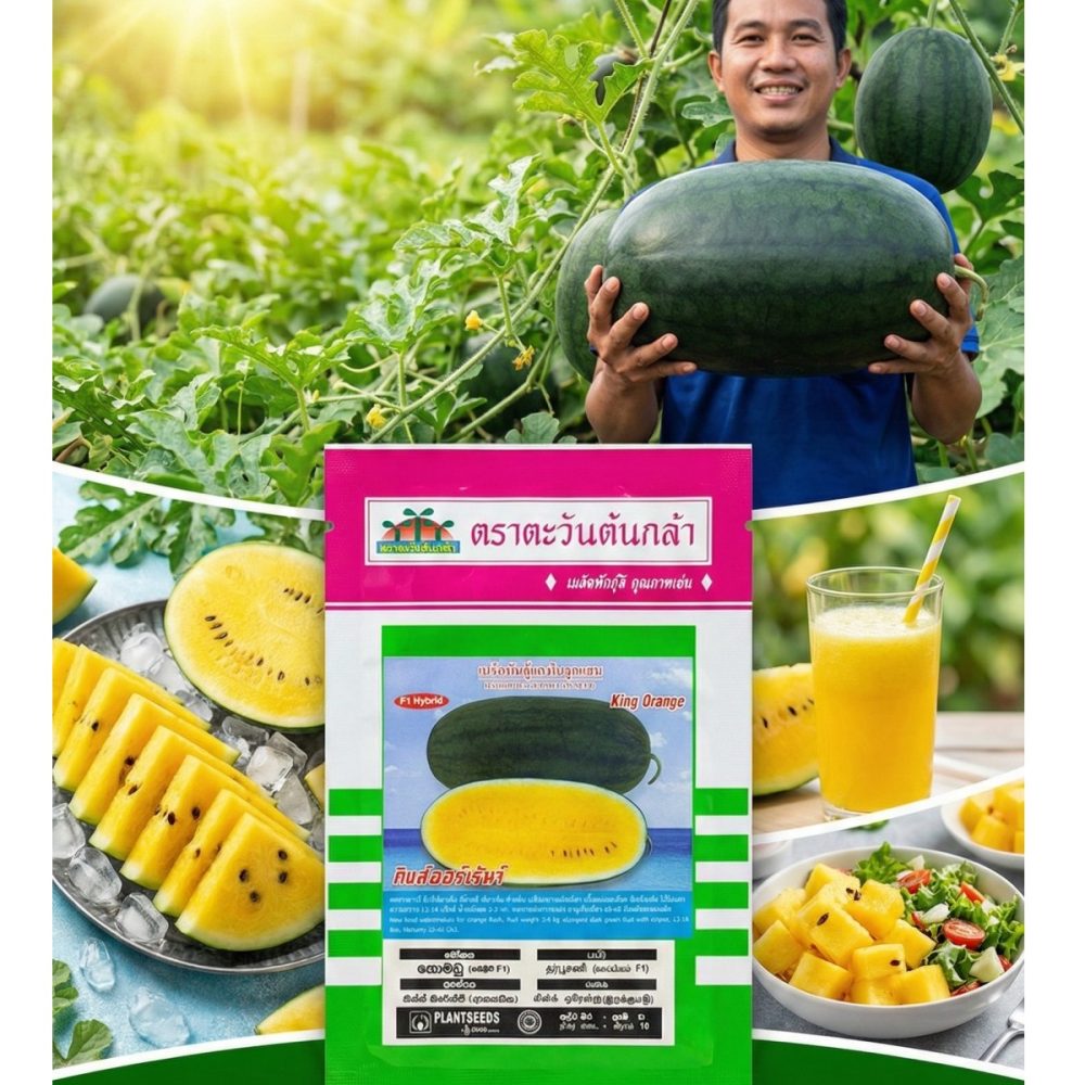 King Orange Yellow F1 Watermelon Seeds 10g