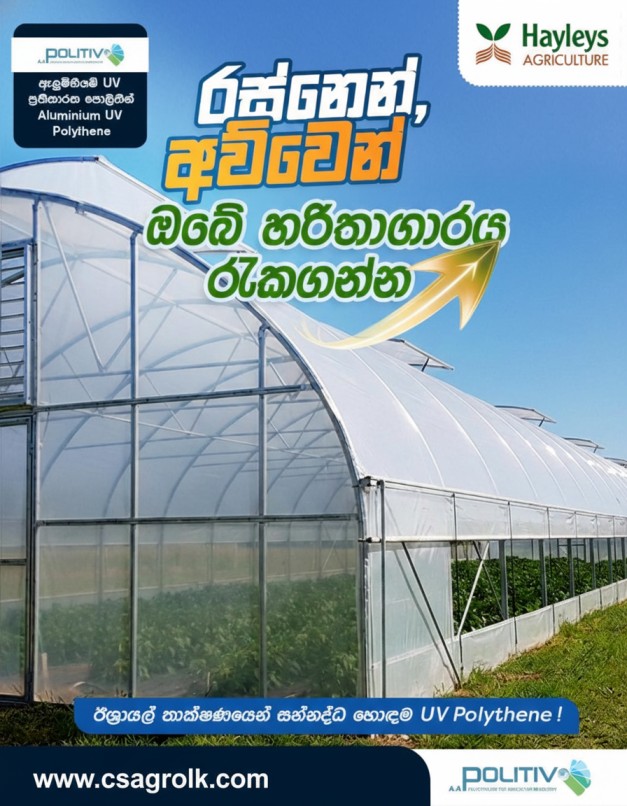 UV Treated Greenhouse Polythene 10M width Made in Isreal - Image 3