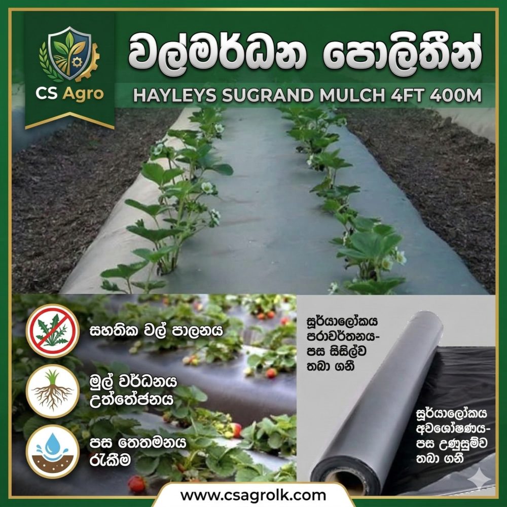 HAYLEYS SUGRAND MULCH 4FT 400M 30MICRON Mulching