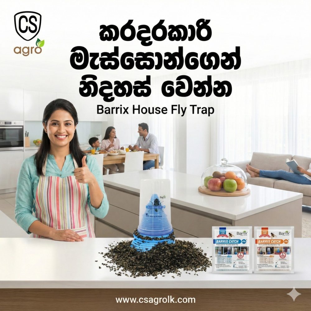 Barrix Catch - Housefly Trap set