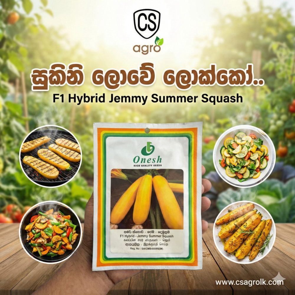 F1 Hybrid Jemmy Summer Squash Zuchchini Seeds