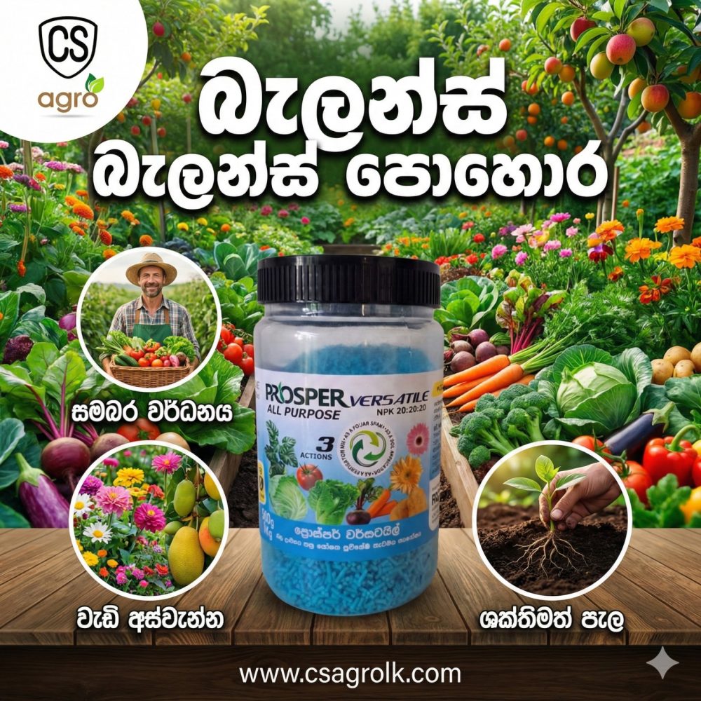 PROSPER VERSATILE 20-20-20 NPK