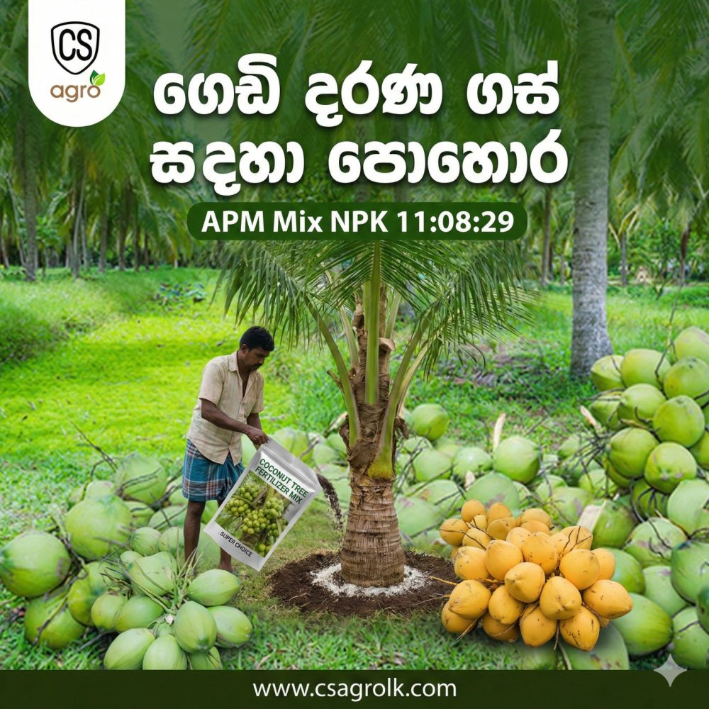 APM Adult Palm Mixture Coconut Fertilizer NPK 11:08:29