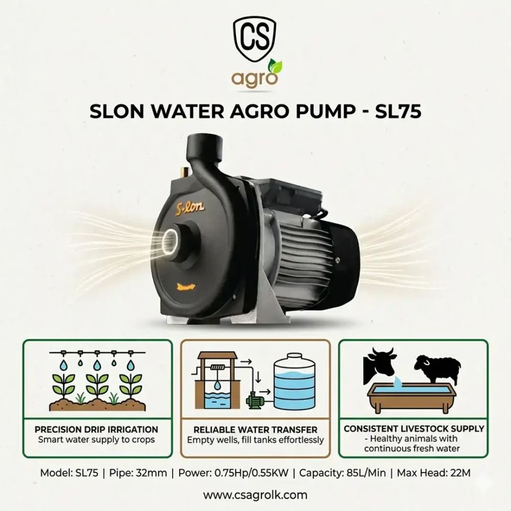 Slon Water Pump SL75 32mm 0.75Hp 0.55KW