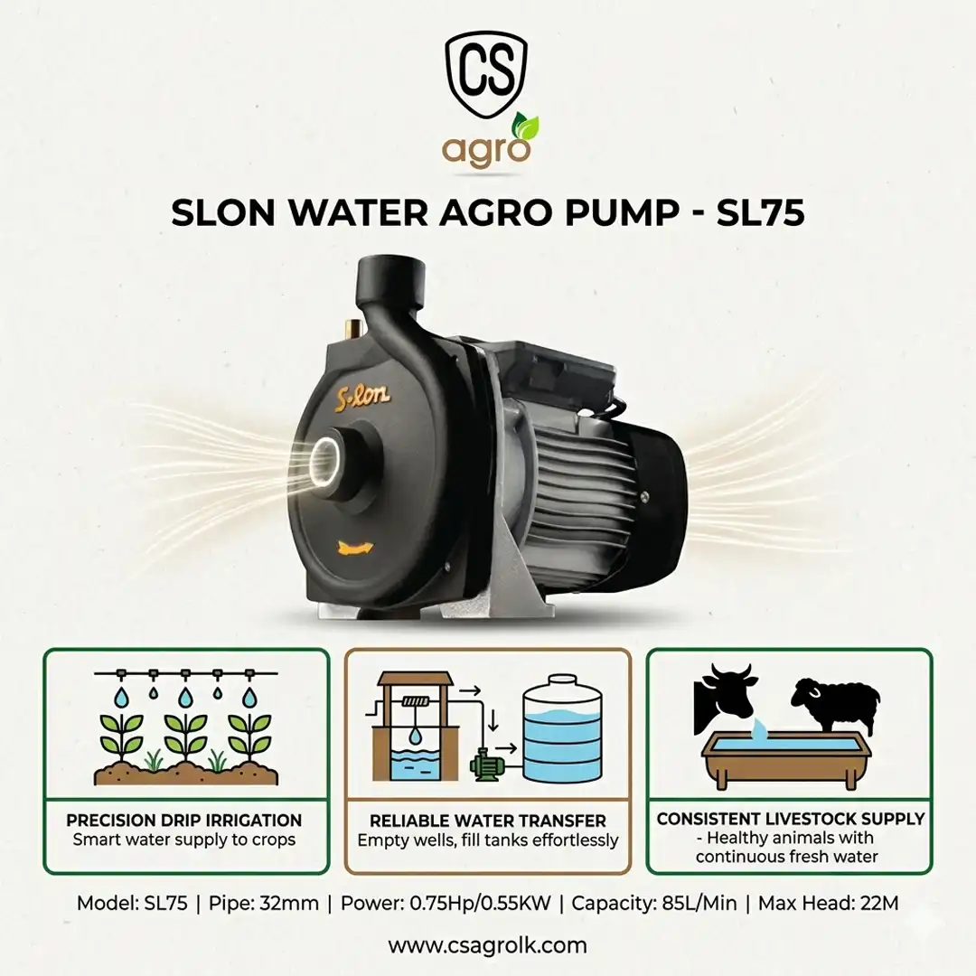 Slon Water Pump SL75 32mm 0.75Hp 0.55KW