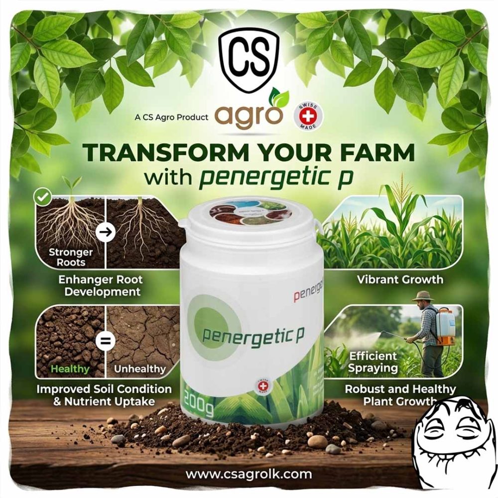 Penergetic p 200g Swiss Made Bio Activation for Enhanced Plant Growth
