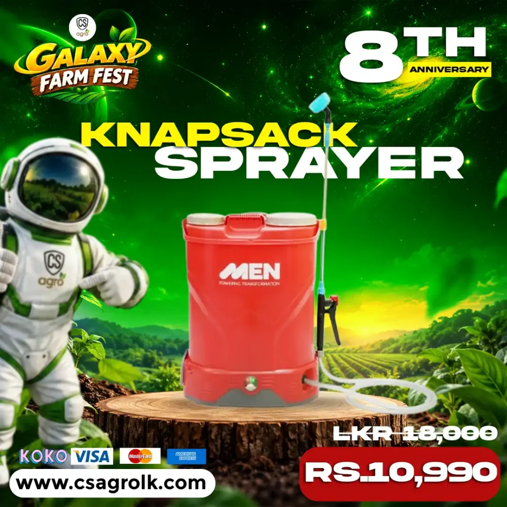 16L MEN Knapsack Electric Sprayer 12V 14A