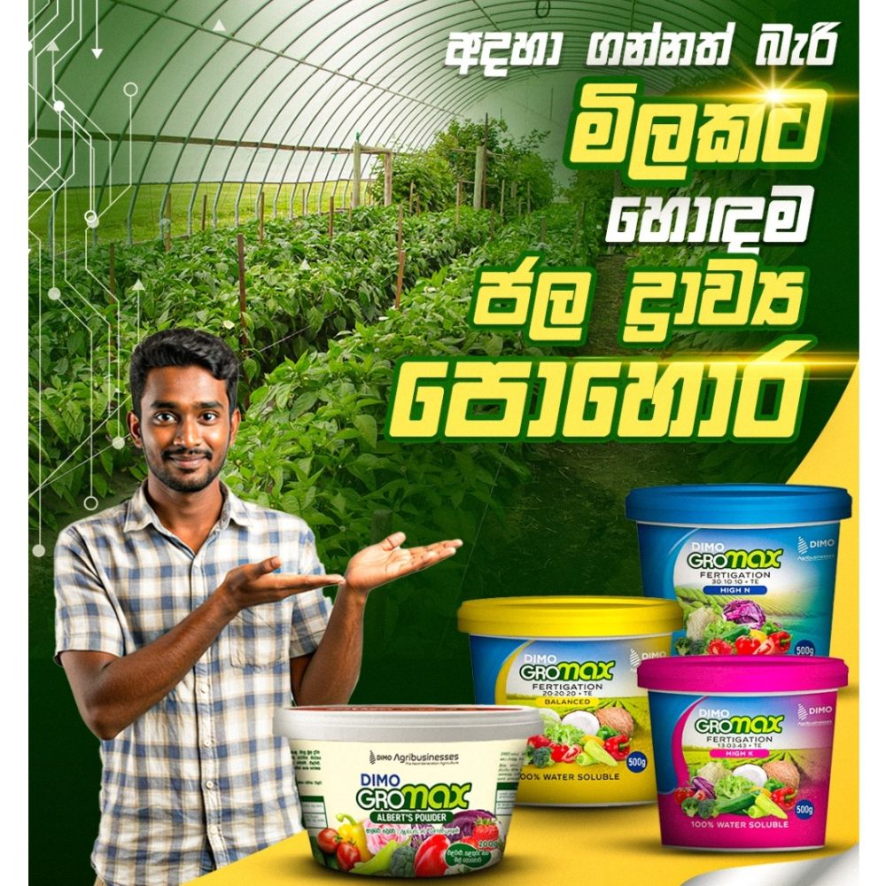 Dimo GROMAX NPK 10:52:10 Plant Growth Fertilizer