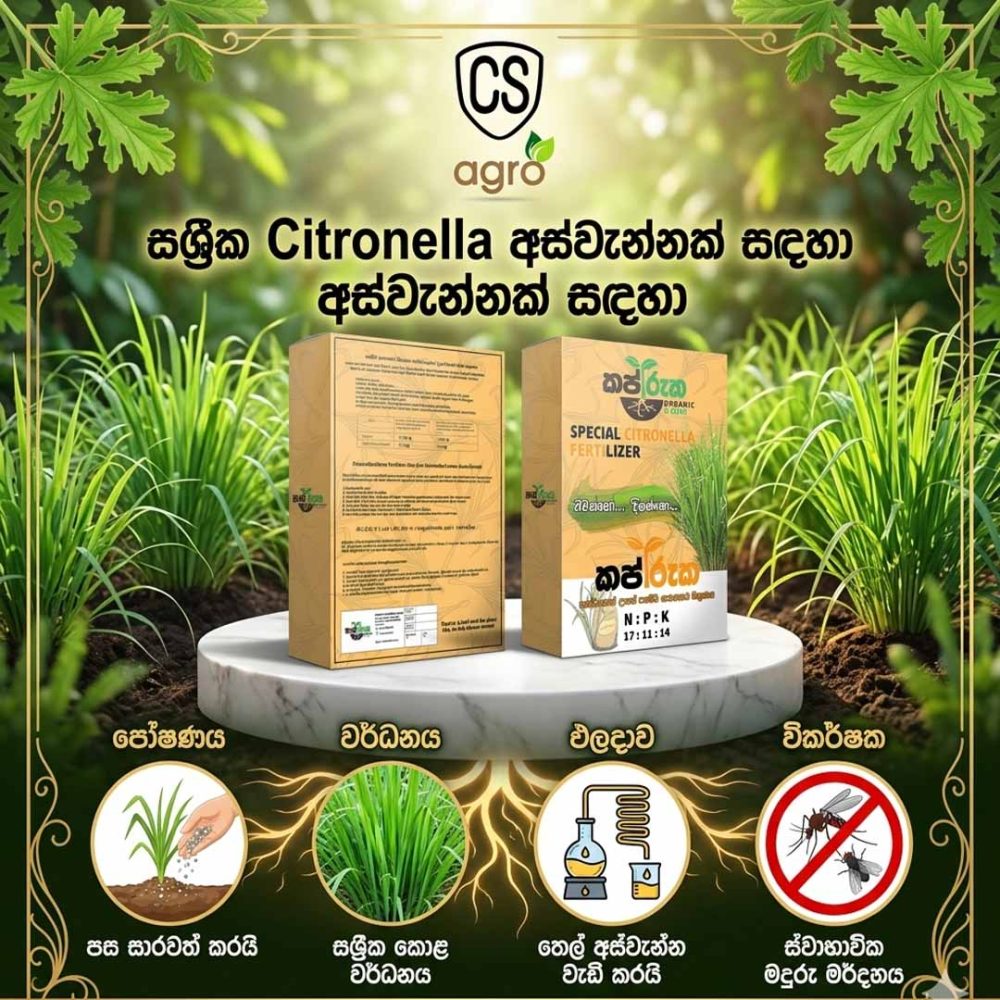 Kapruka Special Citronella Fertilizer (1kg) – High Growth NPK 17:11:14 for Maximum Oil Yield