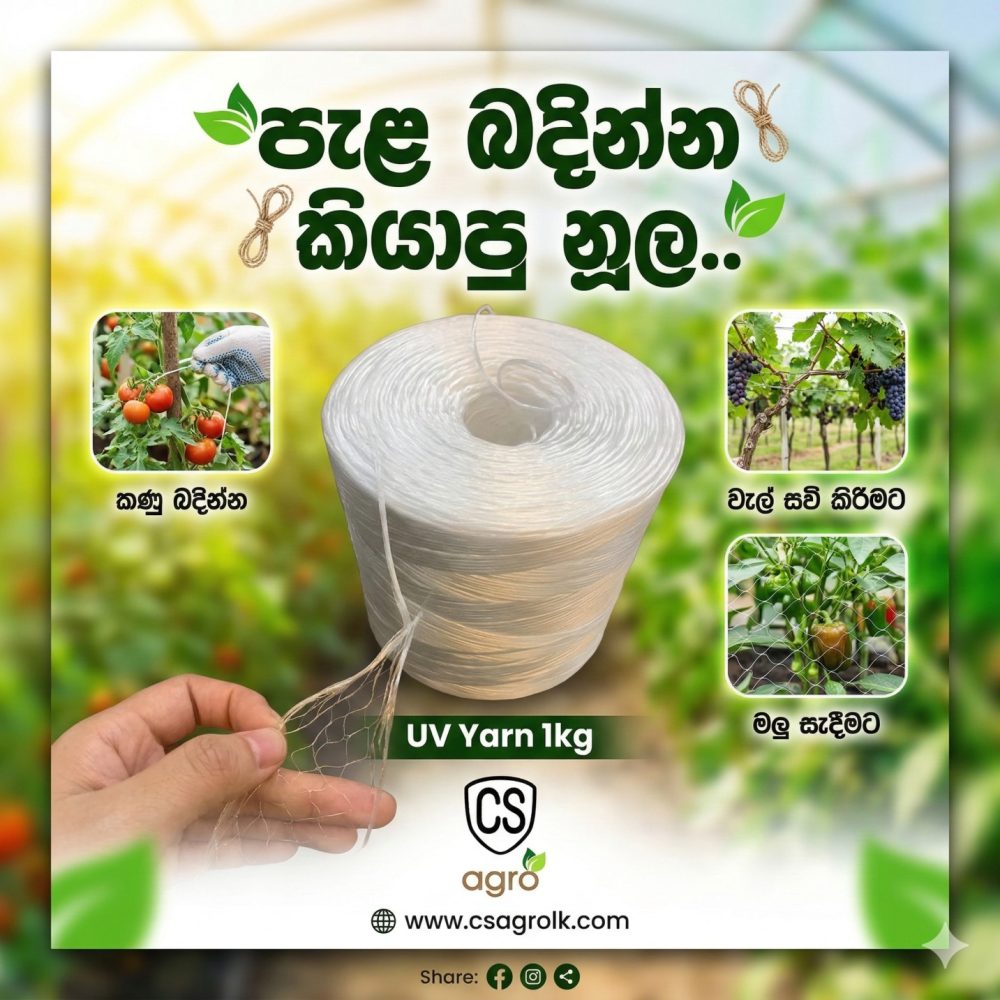 UV Yarn Twin 1kg White Color 1250M