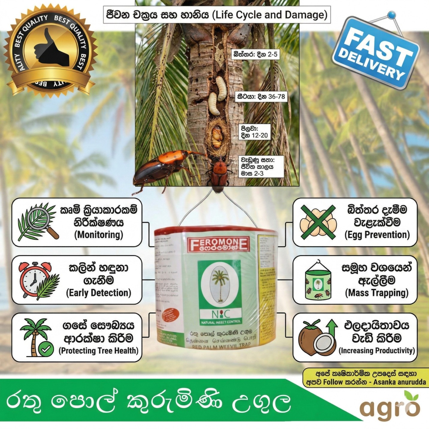 Pheromone Red Palm Weevil Trap & Refill 100% Natural Insect Control