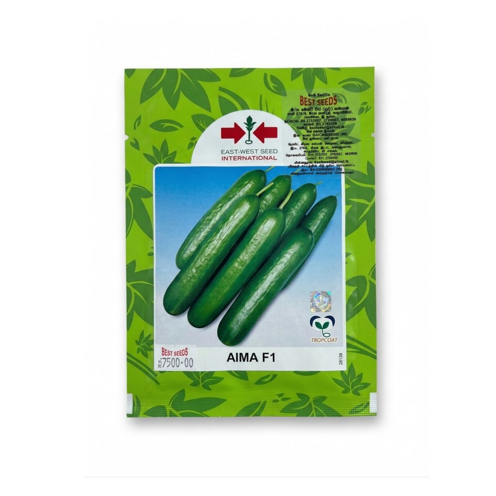 Salad Cucumber AIMA F1 Hybrid Seeds