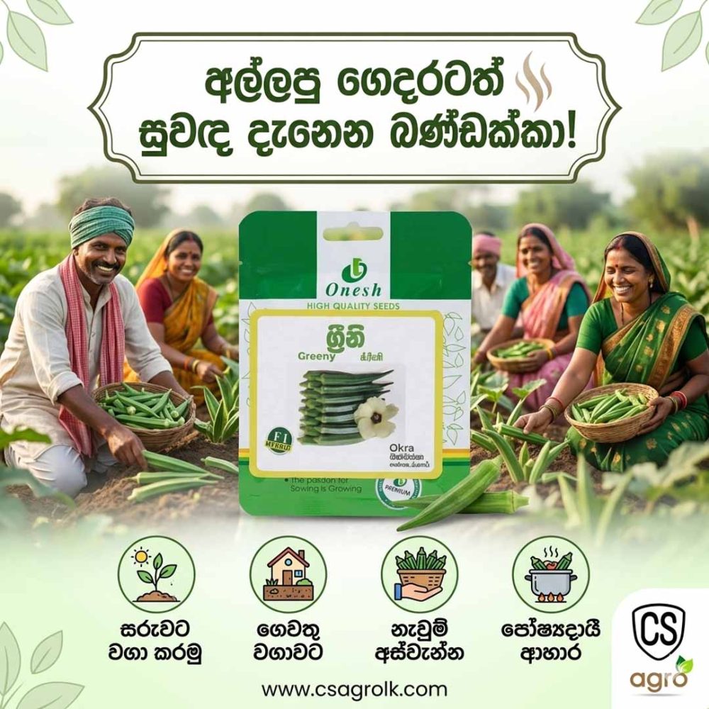 Onesh Greeny Okra Seeds