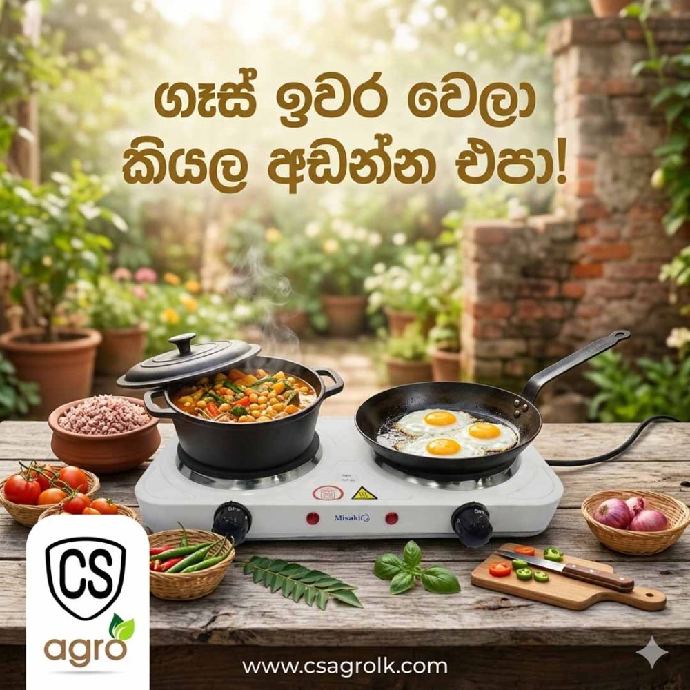 Misaki 2000W Double Electric Hot Plate