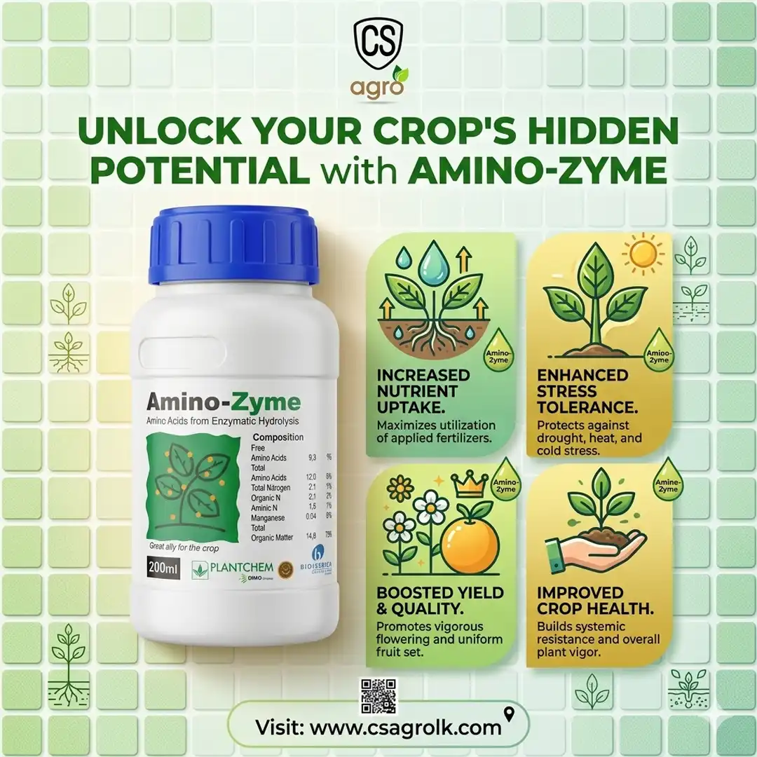 Amino Zyme 200ml Amino Acid Fertilizer