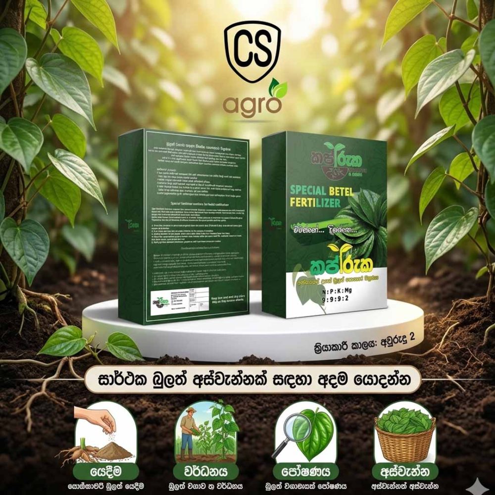 Kapruka Special Betel Fertilizer (1kg) – Balanced NPK 9:9:9 for Premium Betel Leaves