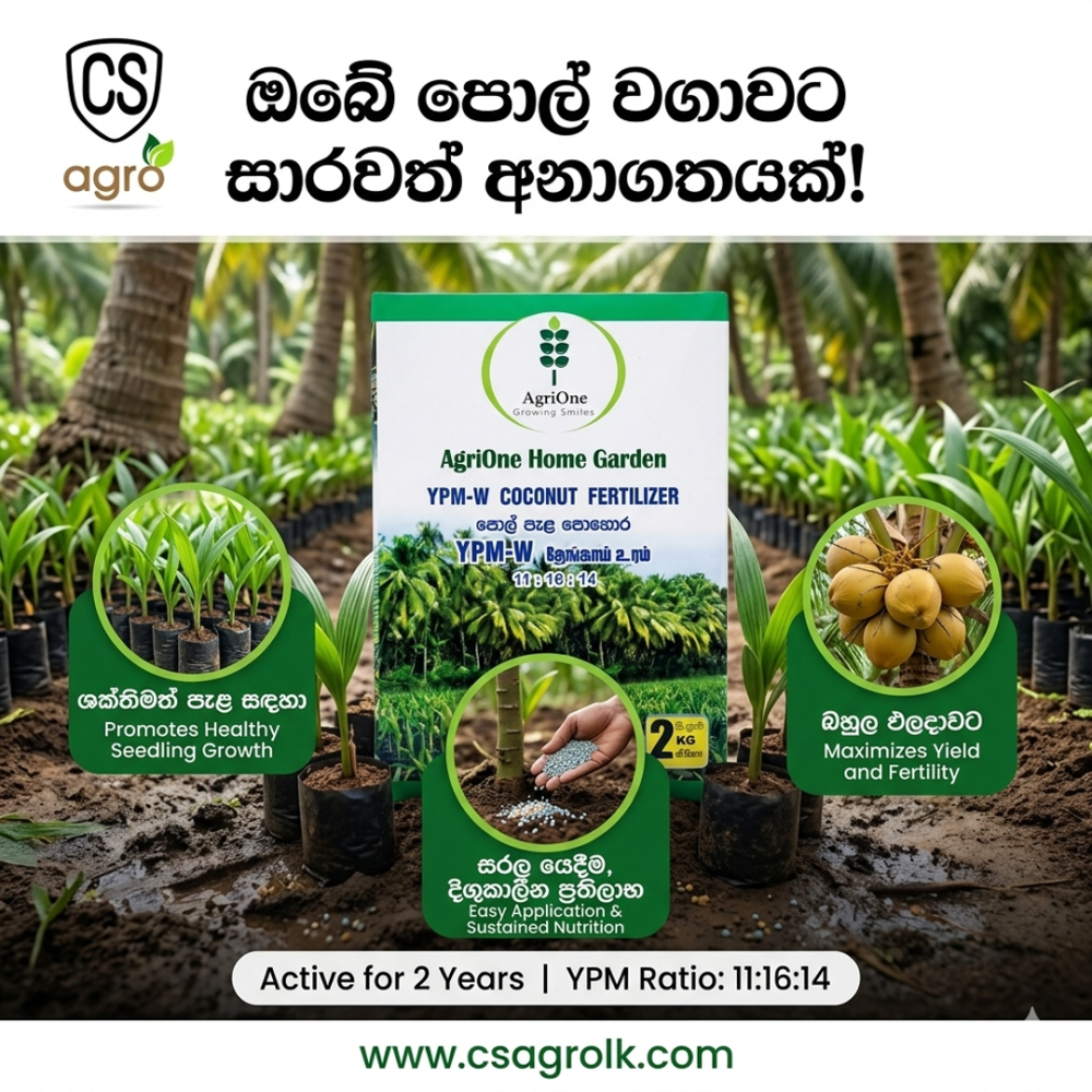 AgriOne Special Coconut Fertilizer: Maximum Yield & Nut Development